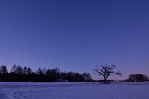 Обои на рабочий стол: деревья, звезды, зима, небо, ночь, поле, сиреневое, снег, япония