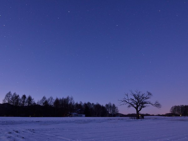 деревья, звезды, зима, небо, ночь, поле, сиреневое, снег, япония