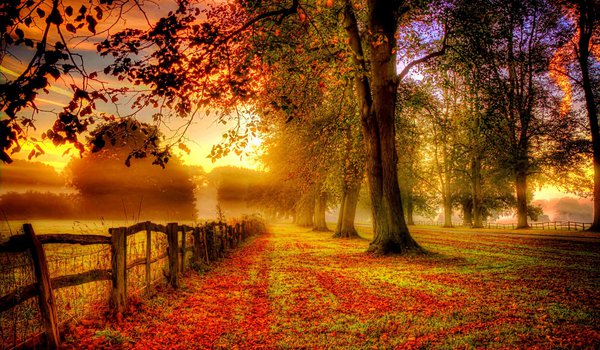 Обои на рабочий стол: autumn, colorful, colors, fall, leaves, nature, park, path, road, trees, walk, деревья, дорога, листья, осень, парк, природа