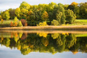 Обои на рабочий стол: лес, озеро, осень, отражение