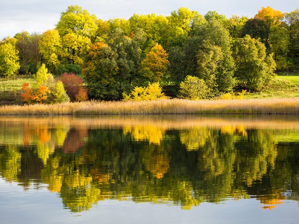 лес, озеро, осень, отражение