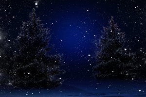 Обои на рабочий стол: Magic Christmas Night, nature, snow, trees, winter, деревья, елка, зима, новый год, природа, снег, Счастливого Рождества