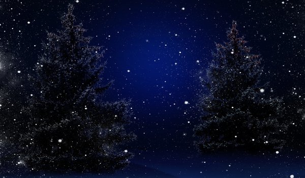 Обои на рабочий стол: Magic Christmas Night, nature, snow, trees, winter, деревья, елка, зима, новый год, природа, снег, Счастливого Рождества