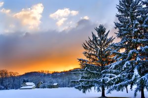 Обои на рабочий стол: деревья, закат, зима, небо, облака, пейзаж, природа, снег