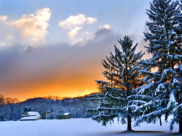 деревья, закат, зима, небо, облака, пейзаж, природа, снег
