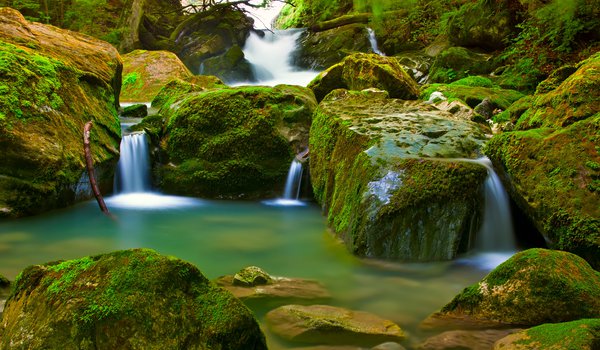 Обои на рабочий стол: водопад, лес, мох