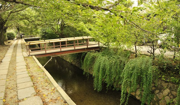 Обои на рабочий стол: kyoto, восток, деревья, киото, мост, япония