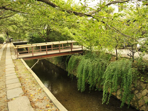 kyoto, восток, деревья, киото, мост, япония