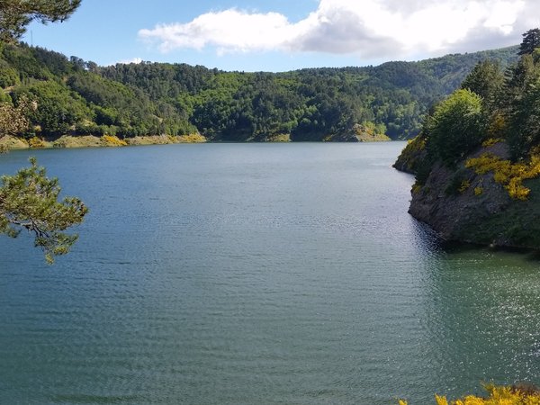 Aspromonte, Aspromonte National Park, Calabria, italy, lake, landscape, trees