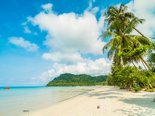 beach, beautiful, palms, paradise, sand, sea, seascape, summer, tropical, берег, волны, лето, море, небо, пальмы, песок, пляж