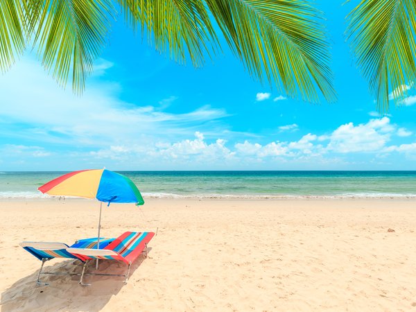 beach, beautiful, palms, paradise, sand, sea, seascape, summer, tropical, берег, волны, лето, море, небо, пальмы, песок, пляж, шезлонг