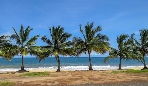 Обои на рабочий стол: beach, beautiful, palms, paradise, sand, sea, seascape, summer, tropical, берег, волны, лето, море, небо, пальмы, песок, пляж