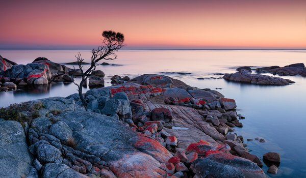 Обои на рабочий стол: australia, Binalong Bay, sunrise, Tasmania, Tassie