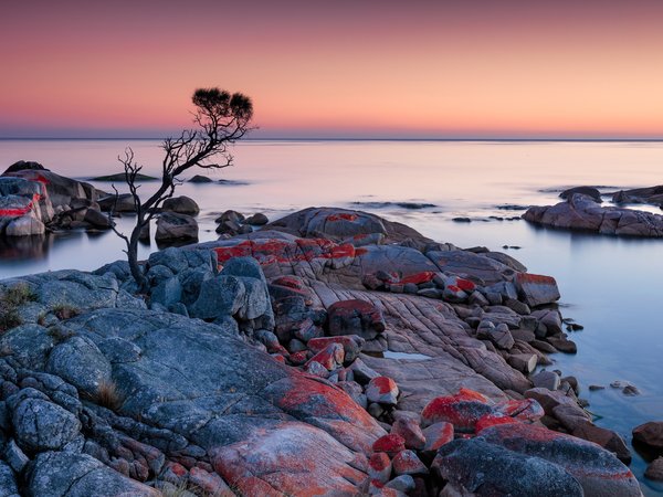 australia, Binalong Bay, sunrise, Tasmania, Tassie
