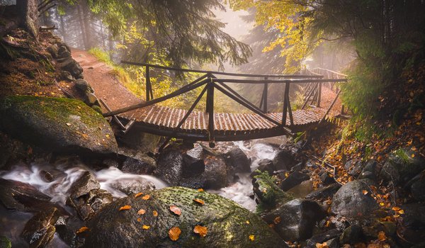 Обои на рабочий стол: Болгария, Витоша, горы, деревья, дорожка, камни, листья, мостик, осень, природа, ручей