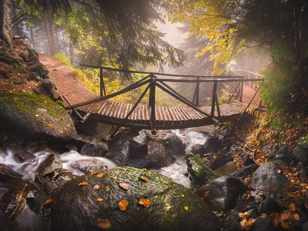 Болгария, Витоша, горы, деревья, дорожка, камни, листья, мостик, осень, природа, ручей
