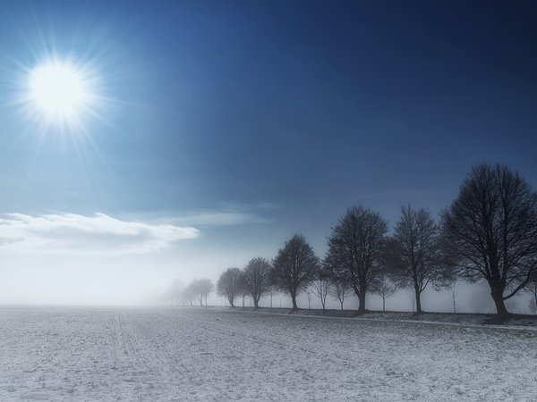 Zan Foar, деревья, земля, небо, облака, снег, солнце, туман