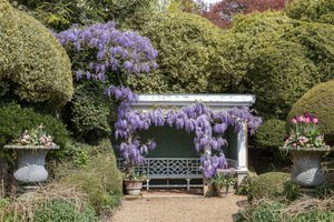 Обои на рабочий стол: Ascott House gardens, england, глициния, парк, тюльпан, фото