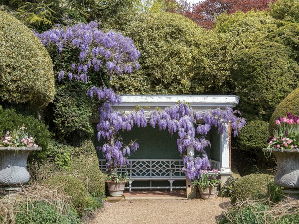 Ascott House gardens, england, глициния, парк, тюльпан, фото