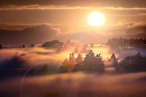 Обои на рабочий стол: Foggy Sunrise, New Zealand, Waikato, Whatawhata