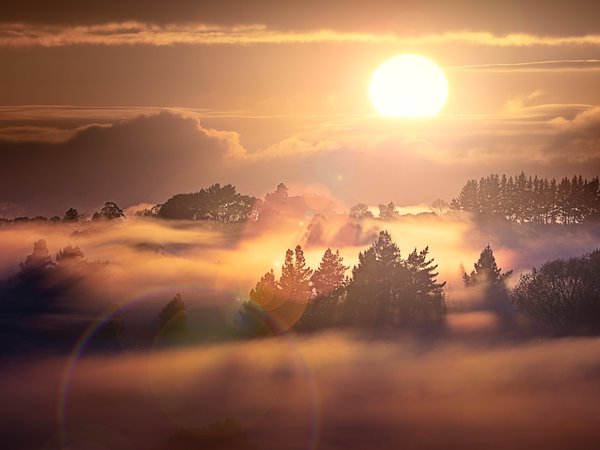 Foggy Sunrise, New Zealand, Waikato, Whatawhata