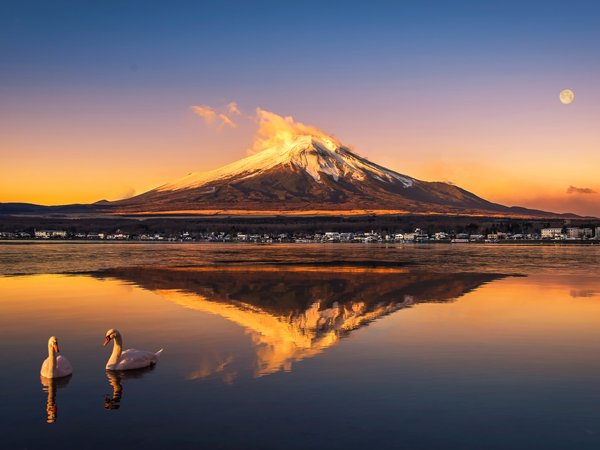 fuji, moon, mountain, reflection, royhoo, swans, гора, лебеди, луна, отражение, Фудзи