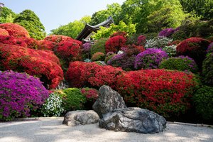 Обои на рабочий стол: flowers, garden, japan, kyoto, stones, камни, киото, рододендрон, сад, япония