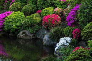 Обои на рабочий стол: japan, tokyo, парк, пруд, фото, цветы, япония