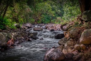 Обои на рабочий стол: Iao Valley, камни, лес, речка