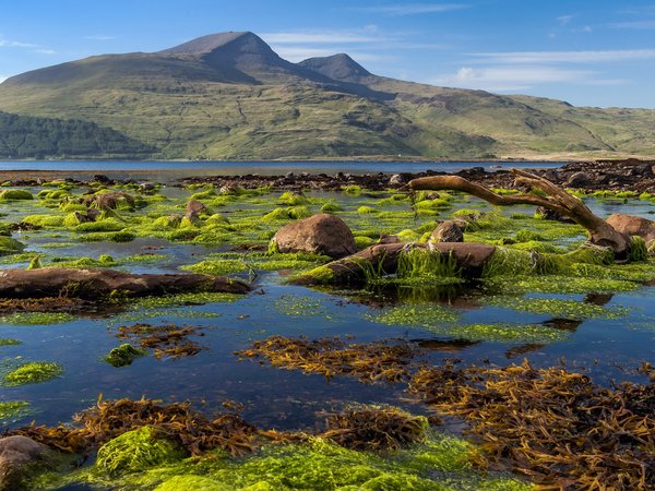 Isle of Mull coastline, Killunaig, scotland