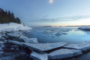 Обои на рабочий стол: вода, деревья, Карелия, Ладожское озеро, льды, природа, снег