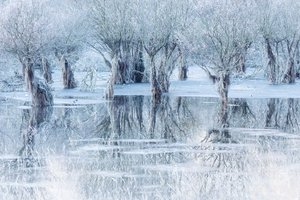 Обои на рабочий стол: Belluno, italy, Lake of Ice, Santa Croce Lake, Беллуно, деревья, зима, италия, лед, Ледяное озеро, Озеро Санта-Кроче, отражение