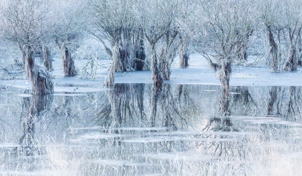 Обои на рабочий стол: Belluno, italy, Lake of Ice, Santa Croce Lake, Беллуно, деревья, зима, италия, лед, Ледяное озеро, Озеро Санта-Кроче, отражение