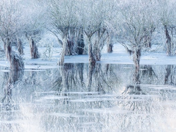 Belluno, italy, Lake of Ice, Santa Croce Lake, Беллуно, деревья, зима, италия, лед, Ледяное озеро, Озеро Санта-Кроче, отражение