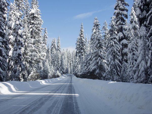 landscape, road, snow, tree, winter, дорога, зима, пейзаж, снег
