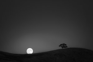 Обои на рабочий стол: hills, moon, tree, дерево, луна, холмы