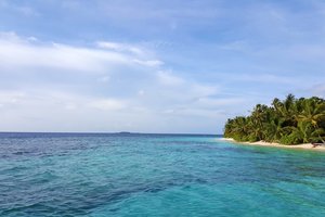 Обои на рабочий стол: maldives, relax, океан, пальмы, пляж, тропики