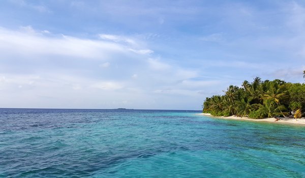 Обои на рабочий стол: maldives, relax, океан, пальмы, пляж, тропики