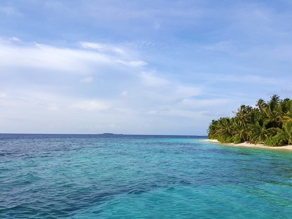 maldives, relax, океан, пальмы, пляж, тропики