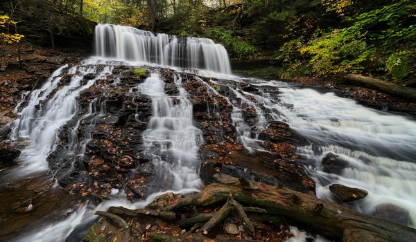 Обои на рабочий стол: Mohawk Falls, Pennsylvania, Ricketts Glen State Park, водопад, каскад, лес, осень, Парк штата Рикетс Глен, Пенсильвания
