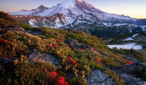 Обои на рабочий стол: Mt. Rainier National Park, sunset, Wild Flowers