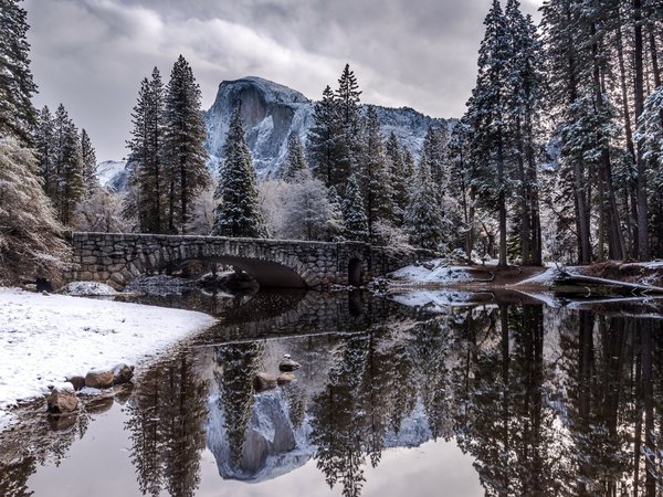 bridge, landscape, nature, river, snow, trees, winter