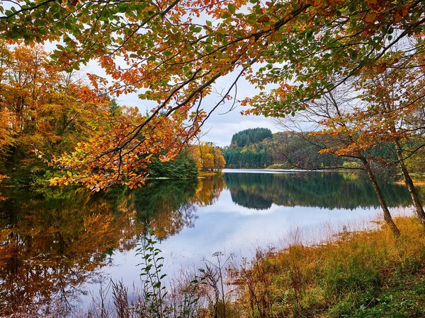 autumn, Eivindsvatnet, norway