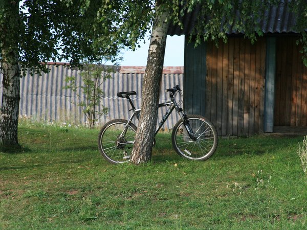 велосипед, картинка, обои, природа, прогулка