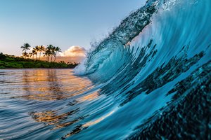 Обои на рабочий стол: hawaii, nature, Ocean Waves, palm trees, tropical Beach, волна, гавайи, красота, пальмы, пляж, природа