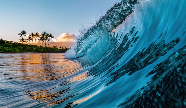 Обои на рабочий стол: hawaii, nature, Ocean Waves, palm trees, tropical Beach, волна, гавайи, красота, пальмы, пляж, природа