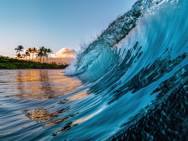 hawaii, nature, Ocean Waves, palm trees, tropical Beach, волна, гавайи, красота, пальмы, пляж, природа