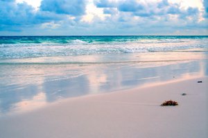 Обои на рабочий стол: берег, океан, песок, пляж