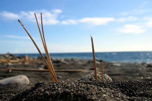 Обои на рабочий стол: берег, море, солома