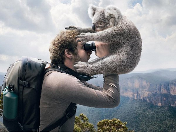 бинокль, коала, путешествие, рюкзак